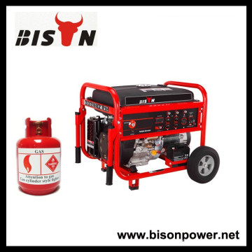 BISON(CHINA) Generator Supplier All Kinds Of Gas Generator, LPG Generator, Biogas Generator
